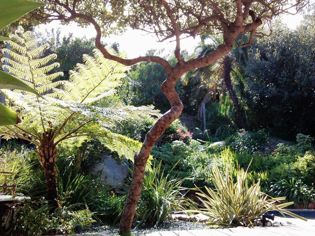 מלון Hout Bay Hideaway מראה חיצוני תמונה