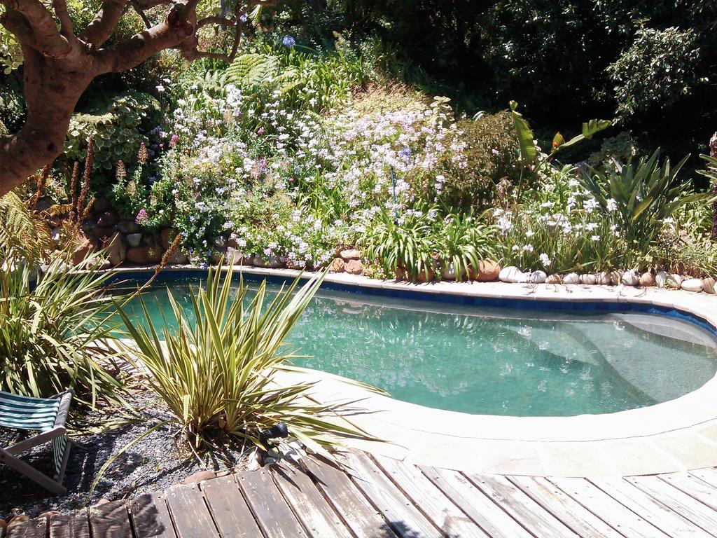 מלון Hout Bay Hideaway מראה חיצוני תמונה