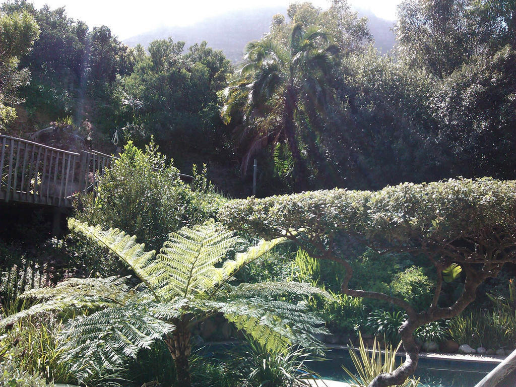 מלון Hout Bay Hideaway חדר תמונה