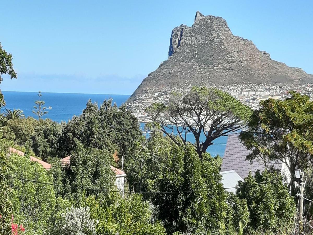 מלון Hout Bay Hideaway מראה חיצוני תמונה