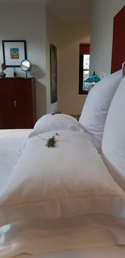 מלון Hout Bay Hideaway מראה חיצוני תמונה